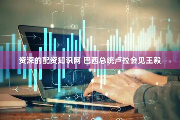 资深的配资知识网 巴西总统卢拉会见王毅