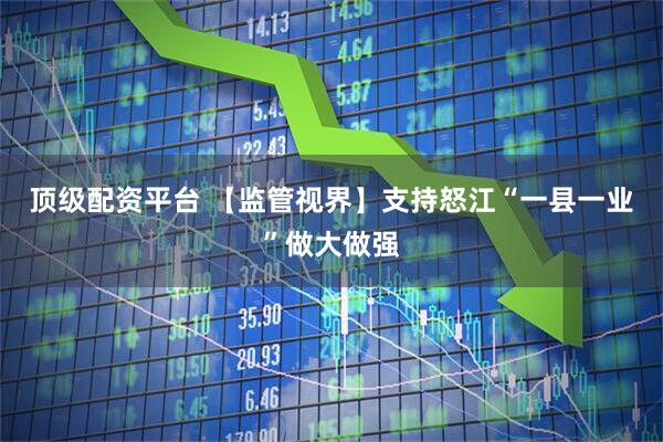 顶级配资平台 【监管视界】支持怒江“一县一业”做大做强
