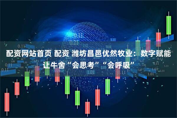 配资网站首页 配资 潍坊昌邑优然牧业：数字赋能让牛舍“会思考”“会呼吸”