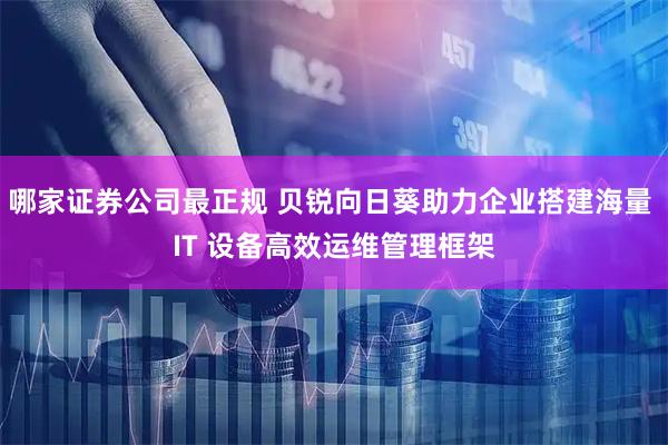 哪家证券公司最正规 贝锐向日葵助力企业搭建海量 IT 设备高效运维管理框架